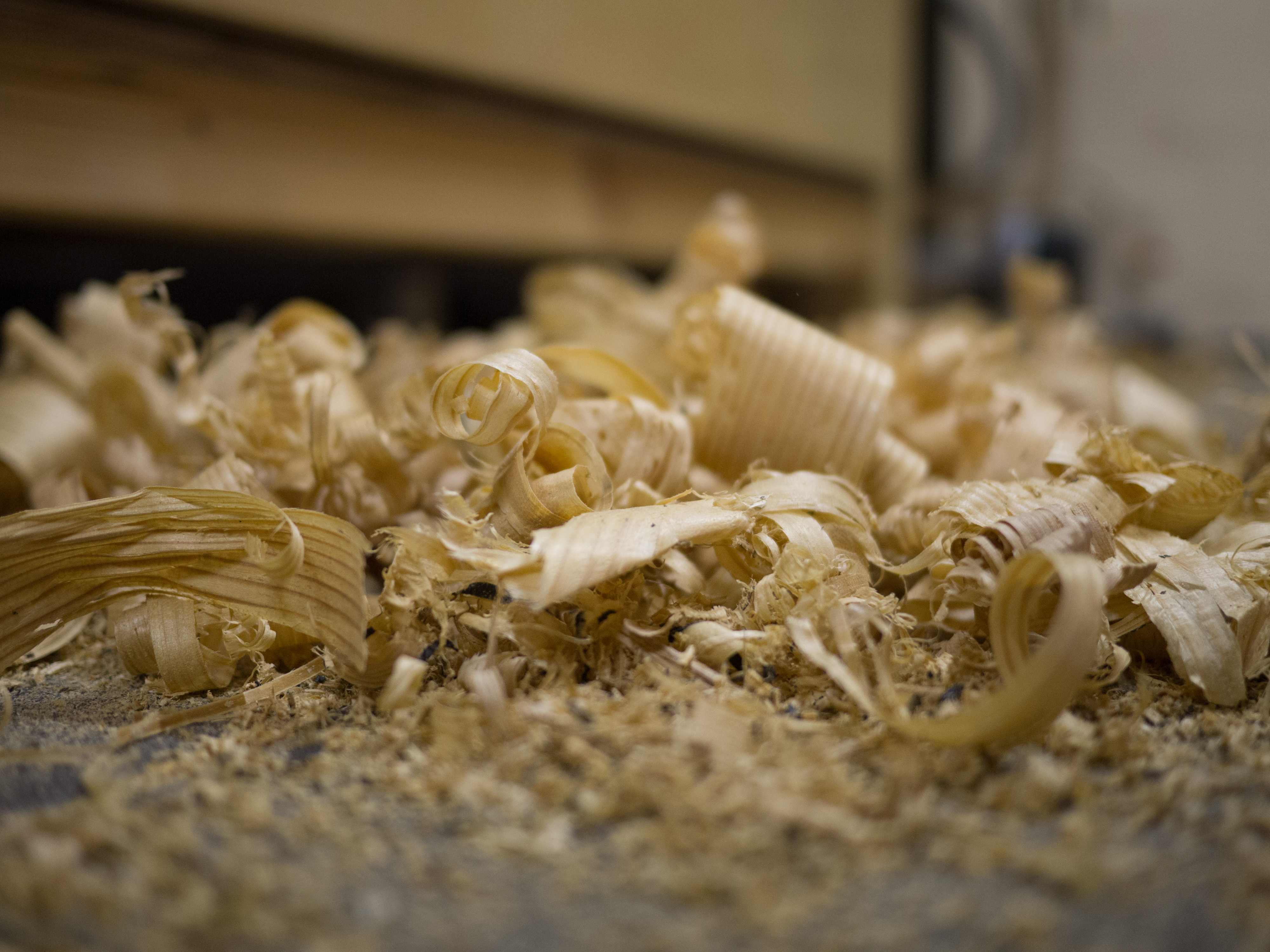 20160726 Schaukel 047